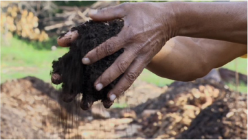 Figure 2. Nurturing the soil of the Alamar cooperative, from Tierralismo (courtesy of Icarus Films).